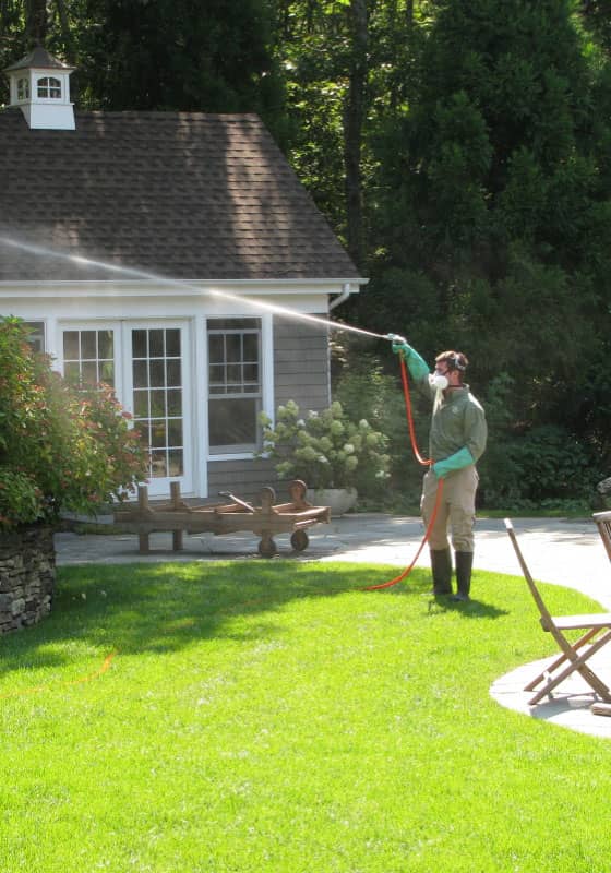 Lawn Care Sprayers